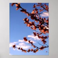 Spring Blossoms Poster - Customized