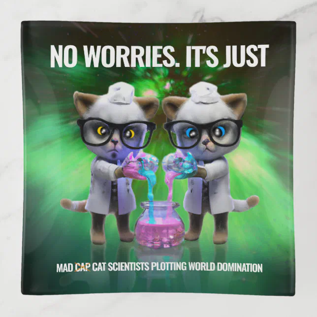 Funny Mad Cat Scientists Plotting World Domination Trinket Tray