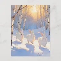 Three White Winter Rabbits  Postcard