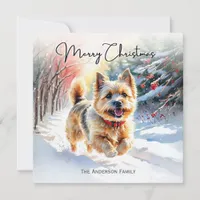 Cairn Terrier In Snow Winter Merry Christmas Holiday Card