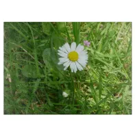 Pretty Little White and Yellow Miniature Daisy Cutting Board