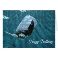 Happy Birthday Turtle and Shark Birthday Card