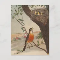 R is for Robin Postcard