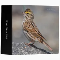 An Inquisitive Savannah Sparrow 3 Ring Binder