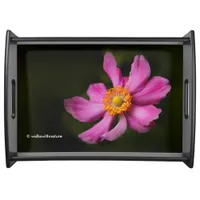 Pink "Prinz Heinrich" Japanese Anemone Flower Serving Tray