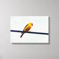Goldfinch Canvas Print