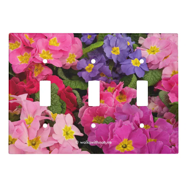 Colorful Medley Pink Blue Purple Primula Flowers Light Switch Cover