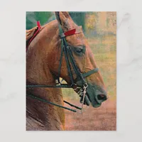 Saddlebred Faux Painting Postcard