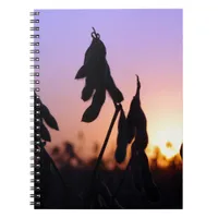 Soybeans at Sunset Notebook