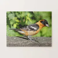 Closeup of a Handsome Black-Headed Grosbeak Jigsaw Puzzle