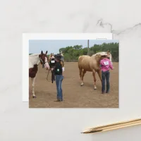 Horse Show Showmanship Paint and Palomino Postcard