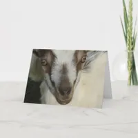 Eye See You Card