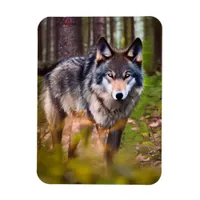 Wolf in the Forest Magnet