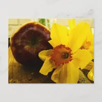 Daffodil & Apple Postcard