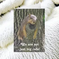 January 21st is National Squirrel Appreciation Day Card