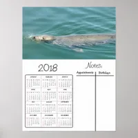 Cute Seal Swimming Photo 2018 Calendar Poster