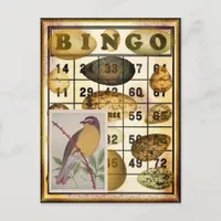 Bingo Bird Postcard