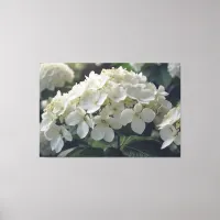 *~*  TV2 Soft Hydrangea Stretched Canvas Print