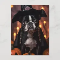 Adorable Halloween Boston Terrier Dog Postcard