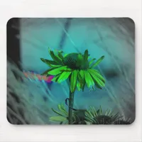 Coneflower Changes Mouse Pad