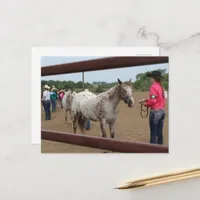 Horse Show Showmanship Postcard
