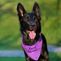 Camouflage Pastel Purple Abstract Pet Name Pet Bandana Collar