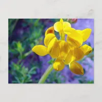 Yellow Flower 2 Postcard