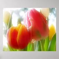 couple tulips print & poster