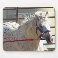 Spotted Pony Mouse Pad