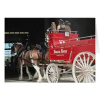 Draft Horses at a State Fair