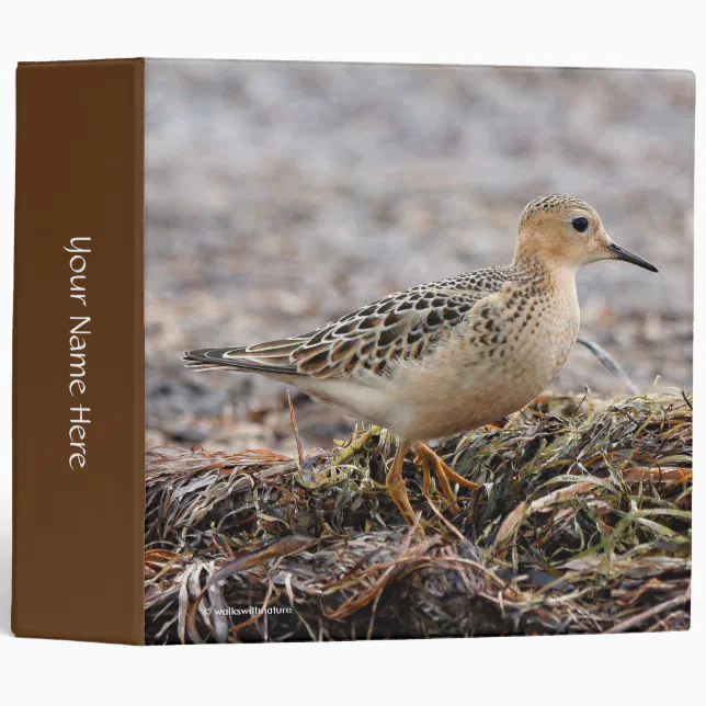 Profile of a Buff-Breasted Sandpiper at the Beach 3 Ring Binder