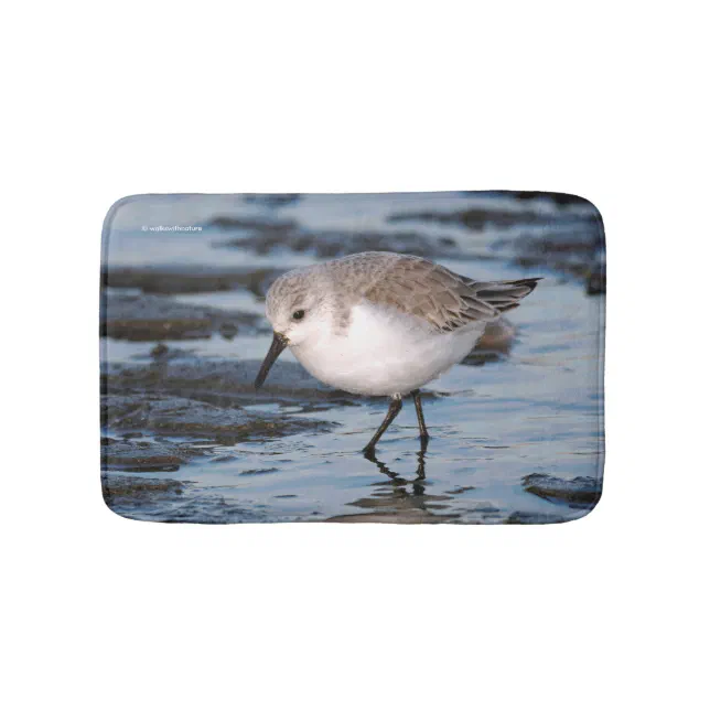 Portrait of a Sanderling Bathroom Mat