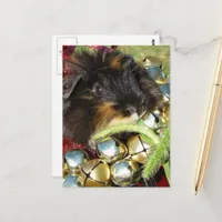 Merry Christmas Guinea Pig Postcard