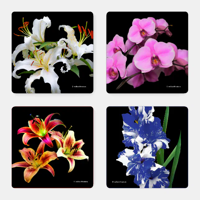 Colorful Gladioluses Lilies Orchids Flowers Coaster Set