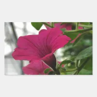 Petunia Rectangular Sticker