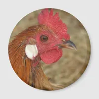 Phoenix Rooster Magnet