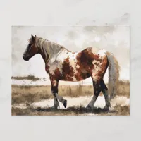 Pinto Mustang Horse Painting Postcard