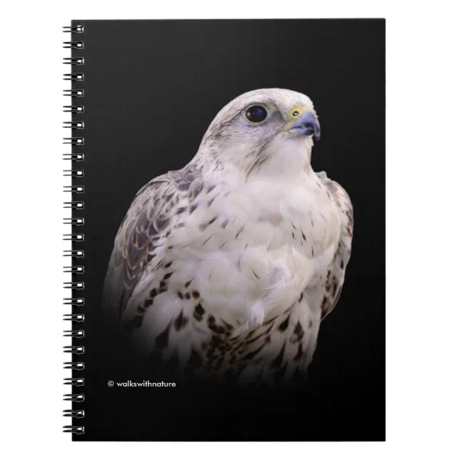 Vignetted Portrait of an Inquisitive Saker Falcon Notebook