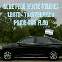 Blue Pink White Stripes LGBTQ+ Transgender Pride Car Flag