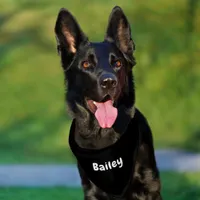 Custom Personalized Name Minimal Black Pet Bandana Collar