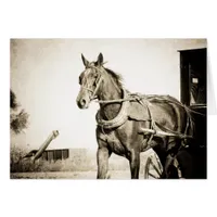 Sepia Amish Horse And Buggy