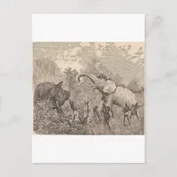 Hunting Elephants Postcard