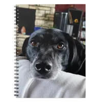 Add Your Dog's Photo to this Custom Notebook