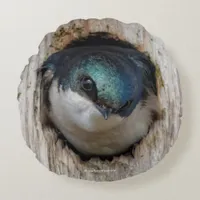 Tree Swallow in a Nestbox Round Pillow