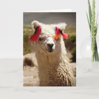 Llama, Birthday Card