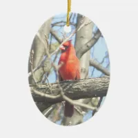 Pretty Red Cardinal Christmas Ceramic Ornament