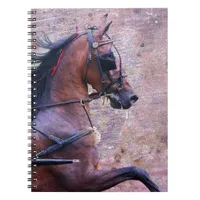 Hackney Grunge Notebook
