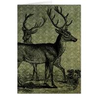 Vintage Deer
