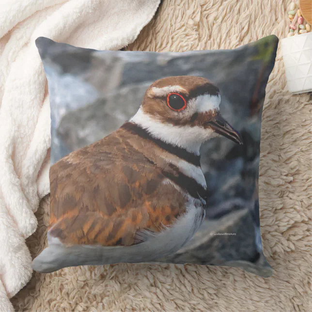 Closeup of a Beautiful Killdeer Throw Pillow