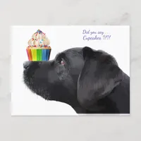 Black Labrador - Did you say Cupcakes - Dog Lover Postcard